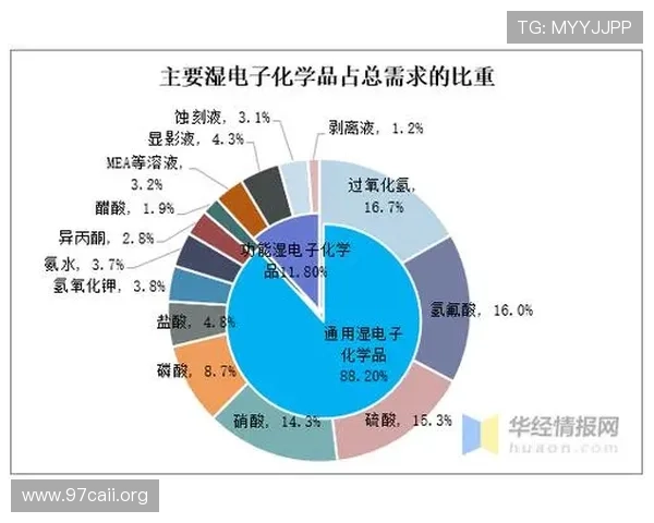 全面解析皇家国际贸易的发展现状与未来趋势